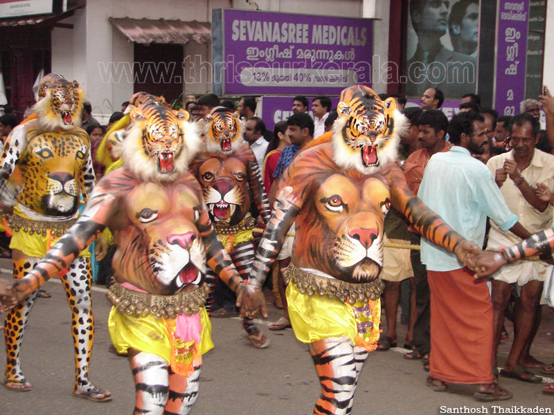 pulikkali-2011 (11)